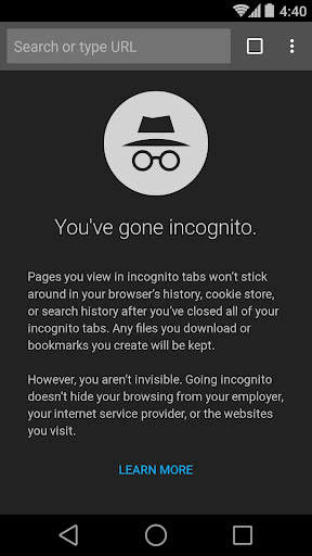 Chrome Dev screenshot 6