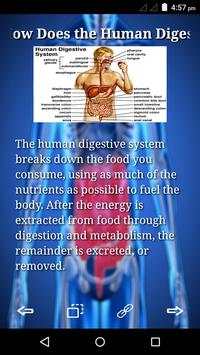 Human Digestive screenshot 3