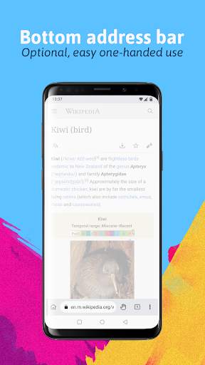 Kiwi Browser - Navigateur screenshot 1
