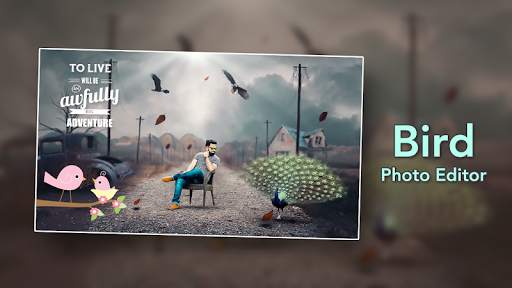 Bird Photo Editor screenshot 3