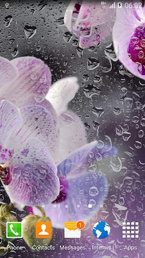 Orchids Live Wallpaper screenshot 1