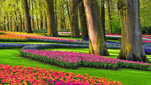 Garden HD Wallpaper screenshot 4