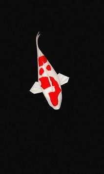 KOI Lucky Fish 3D Theme New Wallpapers screenshot 3