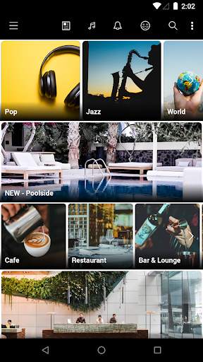 Musik Hub screenshot 1