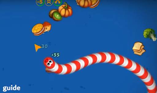 Guide for worms zone io snake screenshot 2