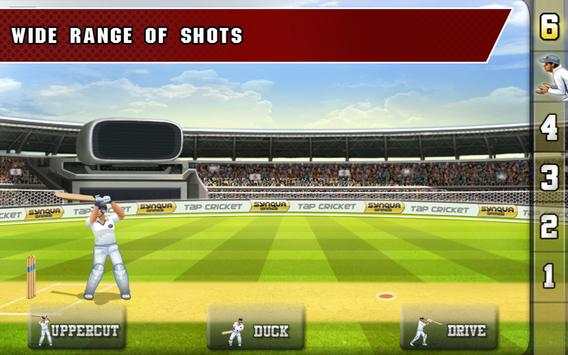 Tap Cricket 2013 screenshot 8