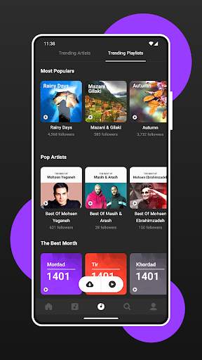 MrTehran - Persian Music screenshot 2