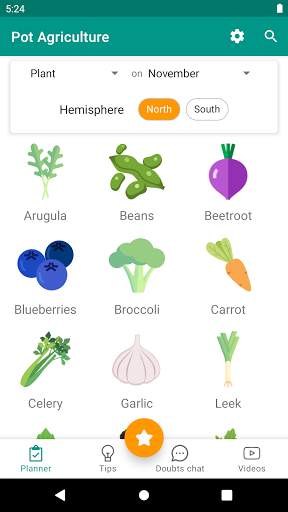 Urban veggie garden screenshot 1