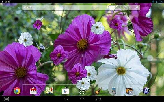 Summer Flowers Live HD screenshot 3