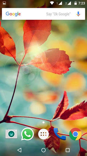Plant HD Wallpaper screenshot 6