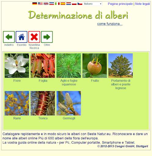 Determinazione di arberi screenshot 1