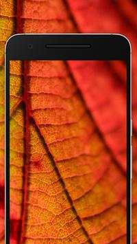 Imagens de Fundo de Padrões screenshot 3