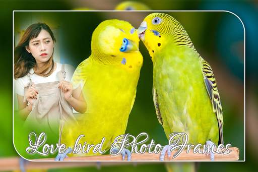 Love Birds Photo Frame screenshot 3