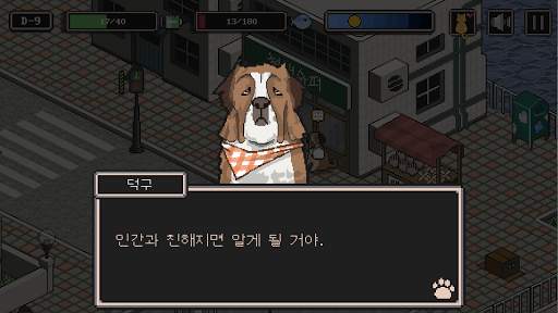 길고양이 이야기 : support edition screenshot 6