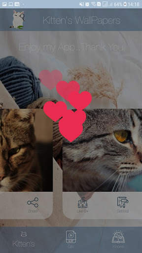 Fotos Fofas de Gatinhos para Papel de Parede screenshot 7