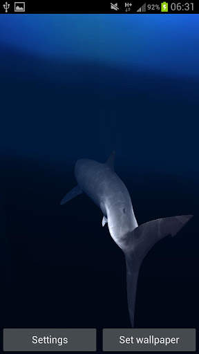 Great White Shark Real 3D screenshot 5