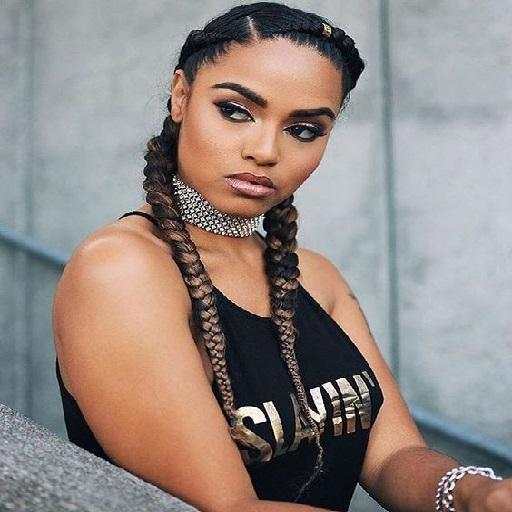 Dutch Braids Hairstyles. screenshot 3