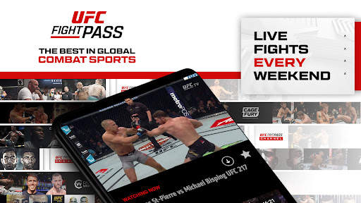 UFC screenshot 8