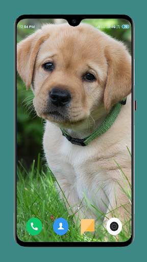 Dog Wallpaper 4K screenshot 15