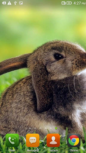 Cute Bunnies Live Wallpaper screenshot 4