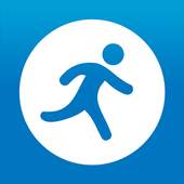 Pedometer 8.0