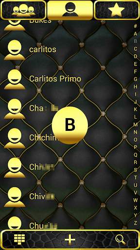 THEME GOLD LEATHER EXDIALER screenshot 2