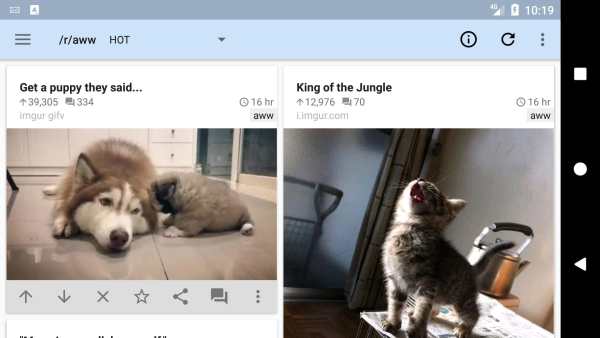 rif is fun for Reddit screenshot 5