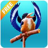 Real Talking Bird 1.0
