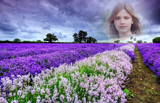 Sea of Flowers Photo Frames screenshot 4