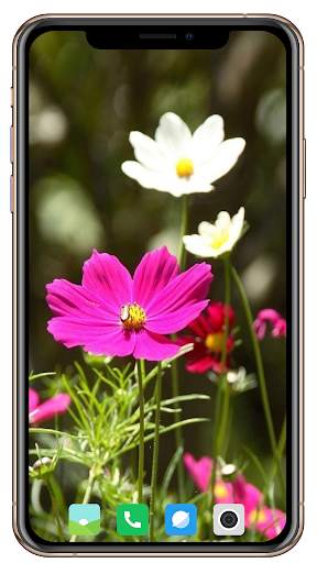 Spring  Wallpaper HD screenshot 5