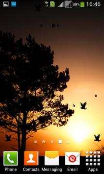 3D Birds LWP for Galaxy S6 -HD screenshot 3