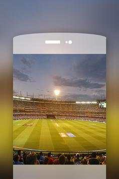 Ball Bat Score screenshot 1