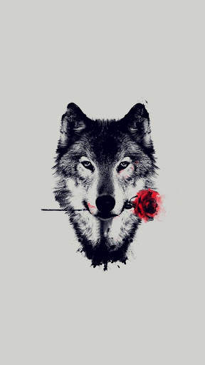 Wolf Wallpaper screenshot 5