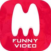 Mili - Funny Video 1.4