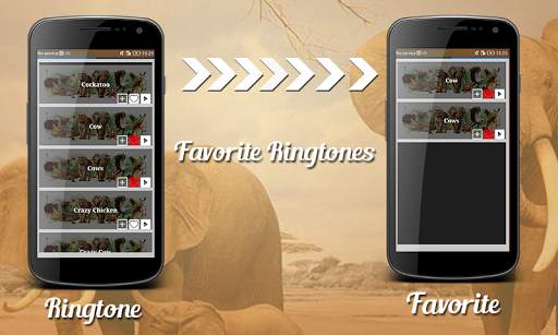 Animal Ringtones screenshot 2