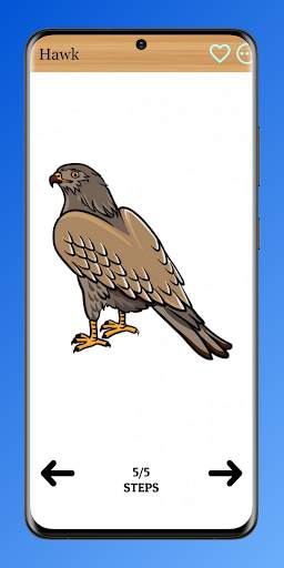 How to Draw Birds of Prey screenshot 5
