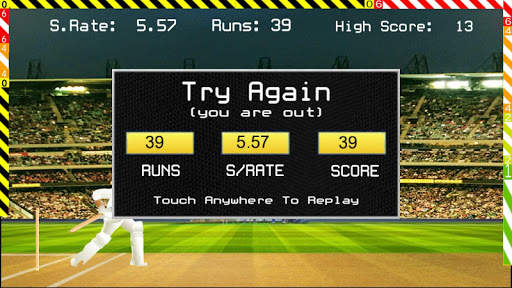 Blokstok Cricket screenshot 20