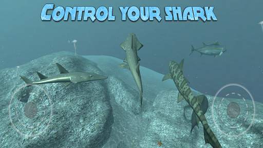 Real Shark Simulator 3D screenshot 1