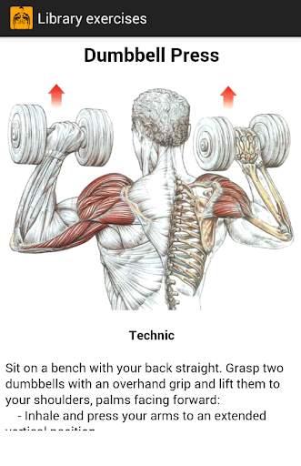 Exercises for gym screenshot 2