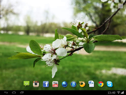 Spring Flowers Live Wallpaper screenshot 8