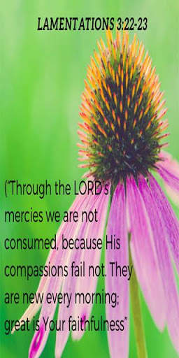 Best Inspirational Bible Quotes screenshot 4