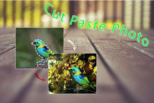 Cut Paste Photo Editor screenshot 2
