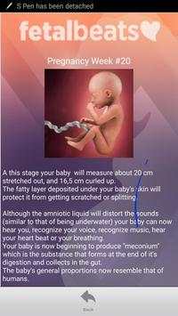 YOUR BABY'S HEARTBEAT ANYTIME! screenshot 2