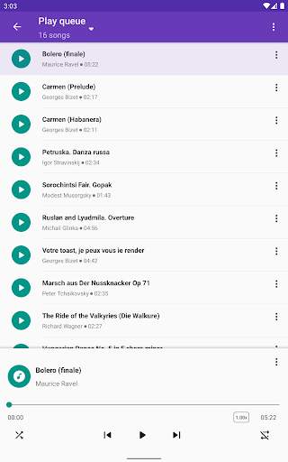 Simple Music Player screenshot 11