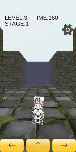 Cat Cat Maze 3D screenshot 3