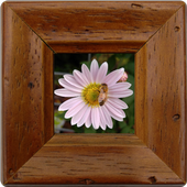 Picture CALL icon