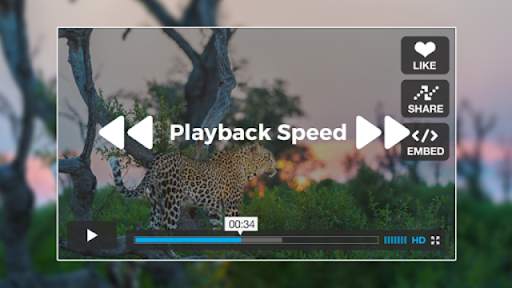 Black Video Player -Black Video Status screenshot 15