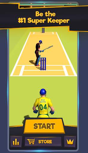 Super Keeper Cricket Challenge screenshot 20