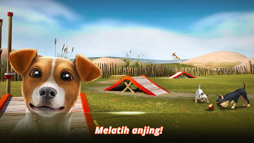 DogHotel - Permainan Anjing screenshot 5