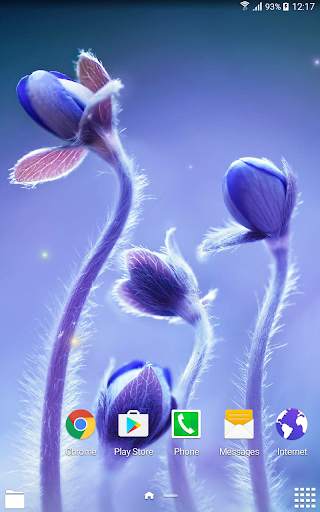 Spring Flowers Live Wallpaper screenshot 7